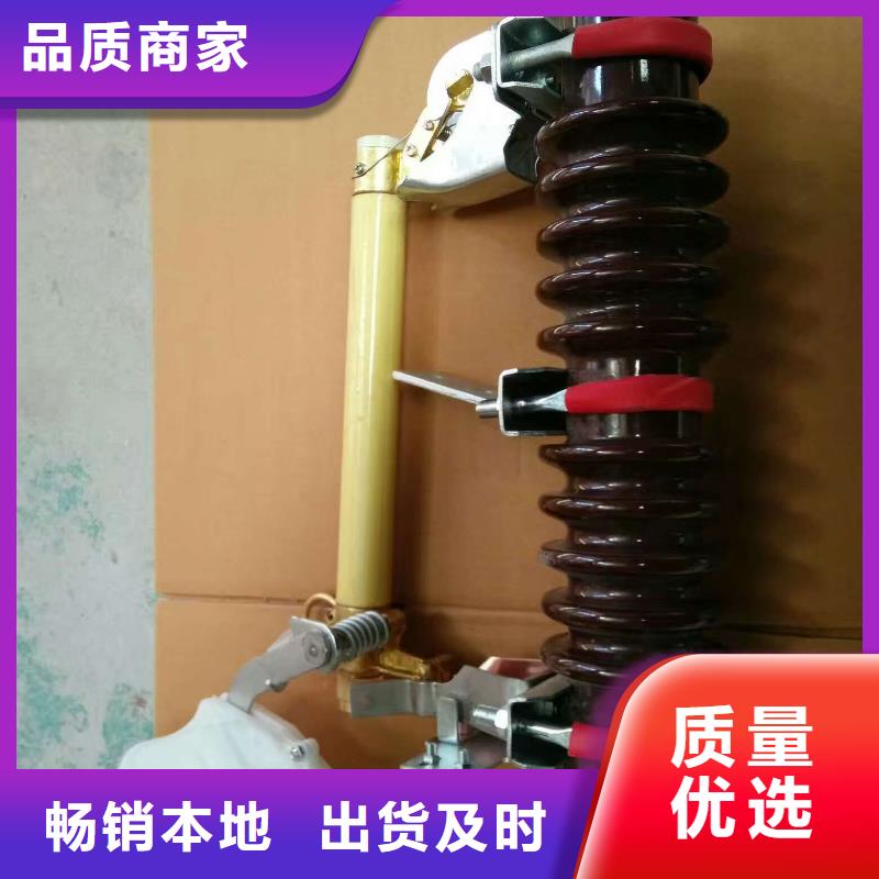 户外高压跌落式熔断器熔丝具RW12-10/100