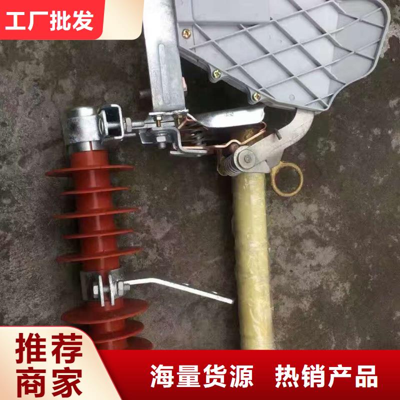 高压熔断器/RW11-12KV//HRW11-12KV