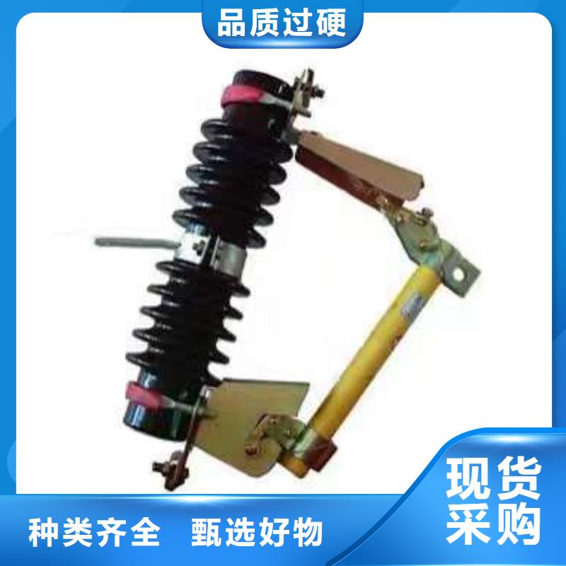 高压熔断器/HGYF1-12/200