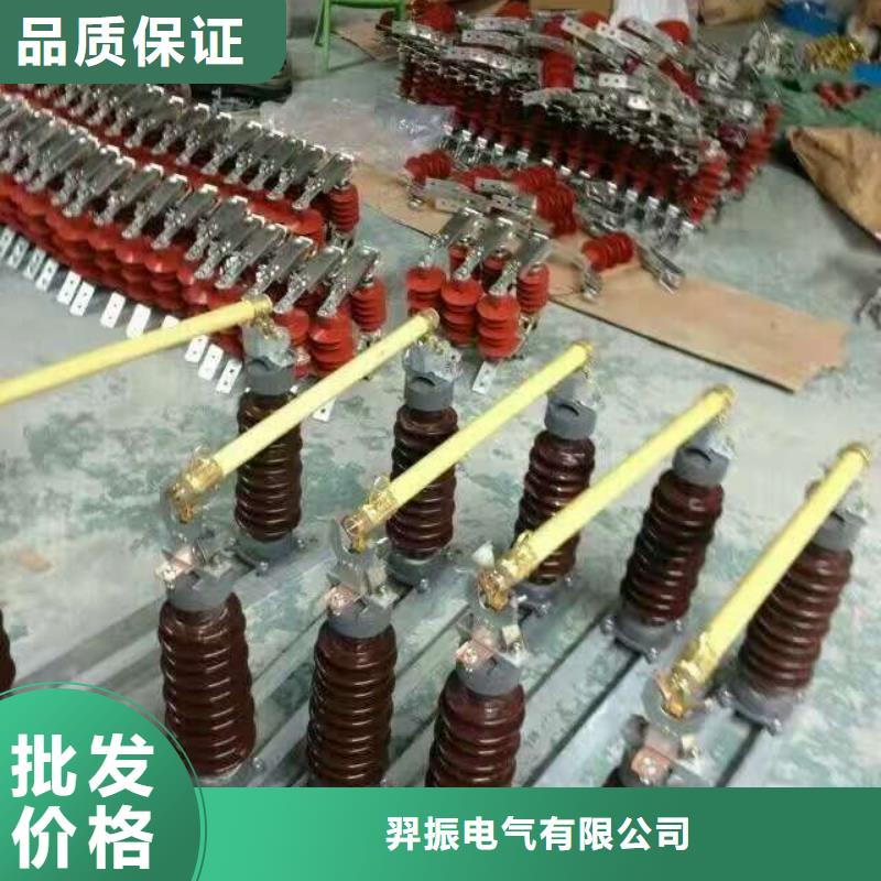 高压熔断器/HGYF1-12/200