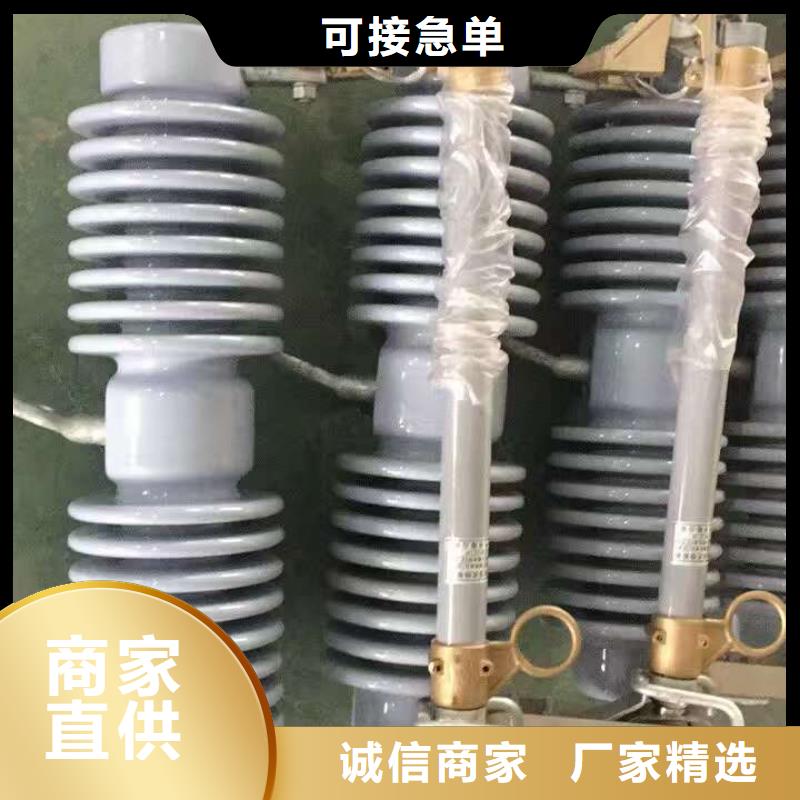 高压熔断器/RW11-12KV//HRW11-12KV