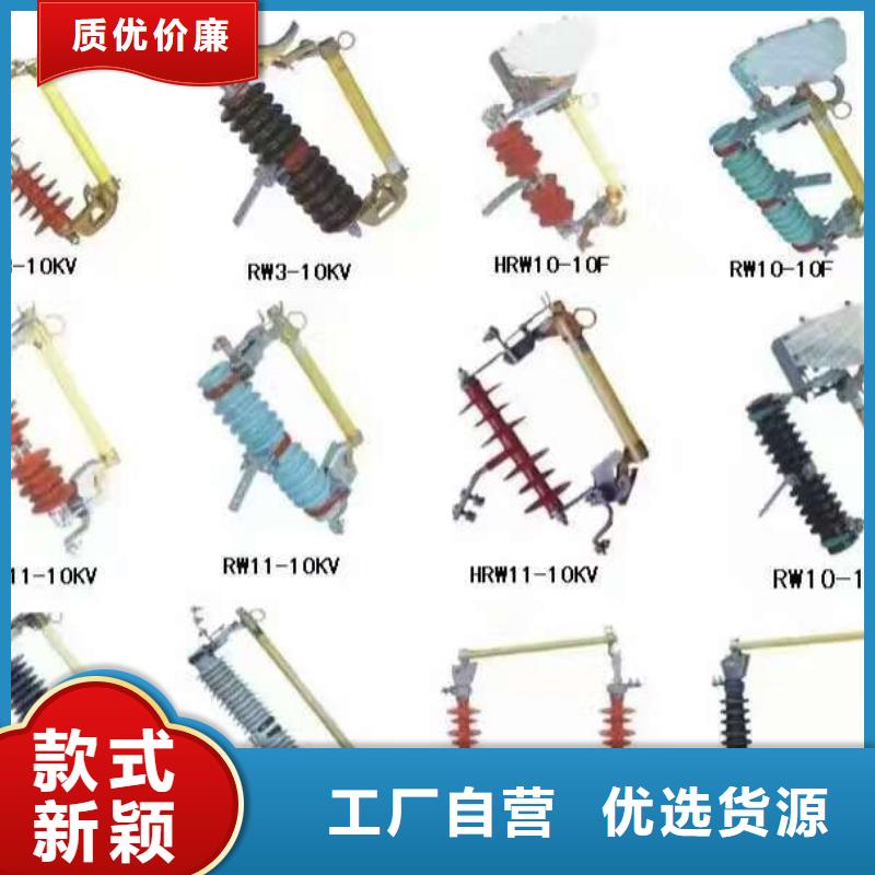 【高压熔断器】PRW12-12/100A