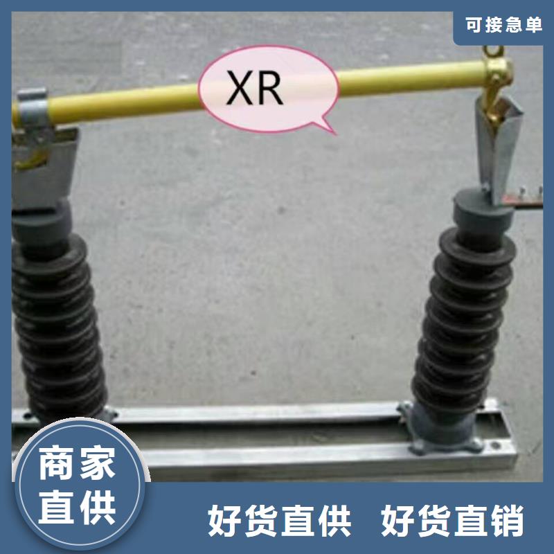 跌落式熔断器HPRW12-24/100A