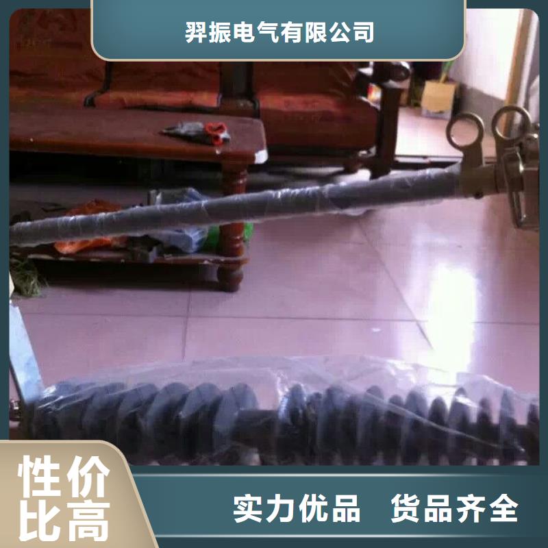 高压熔断器/HGYF1-12/200