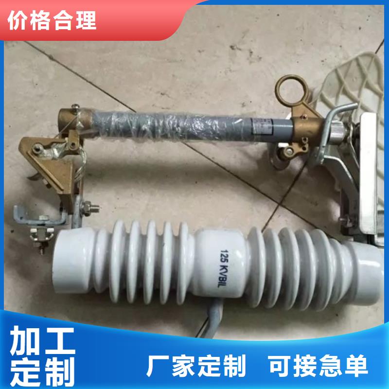 高压熔断器/HGYF1-12/200