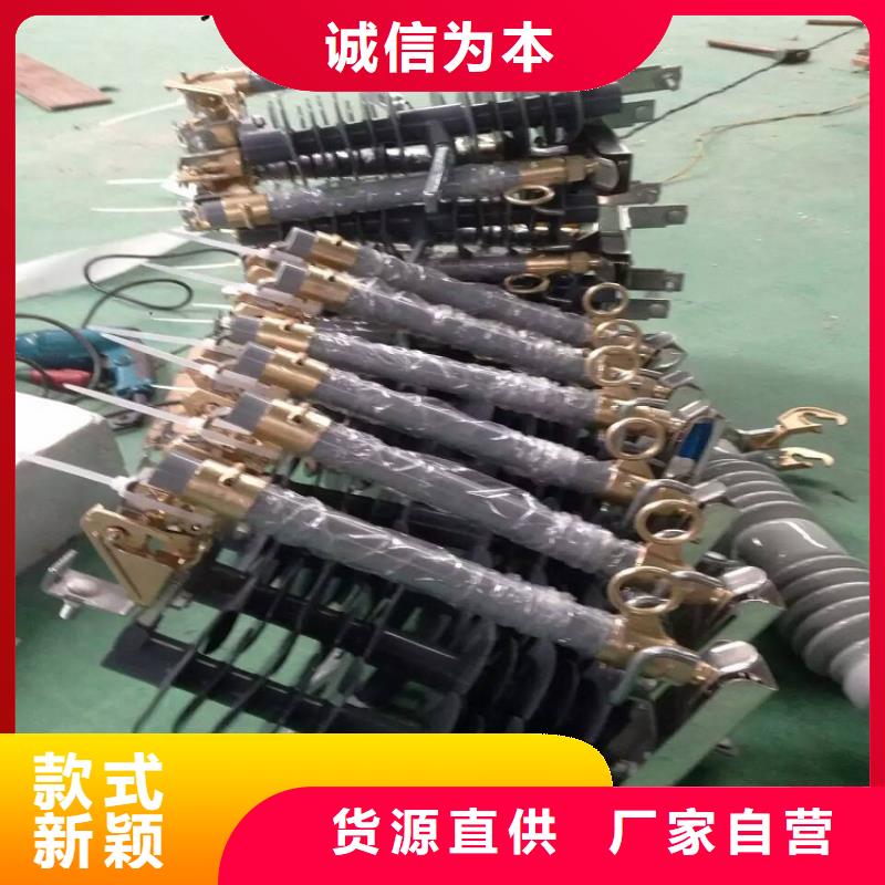 高压熔断器/HGYF1-12/200