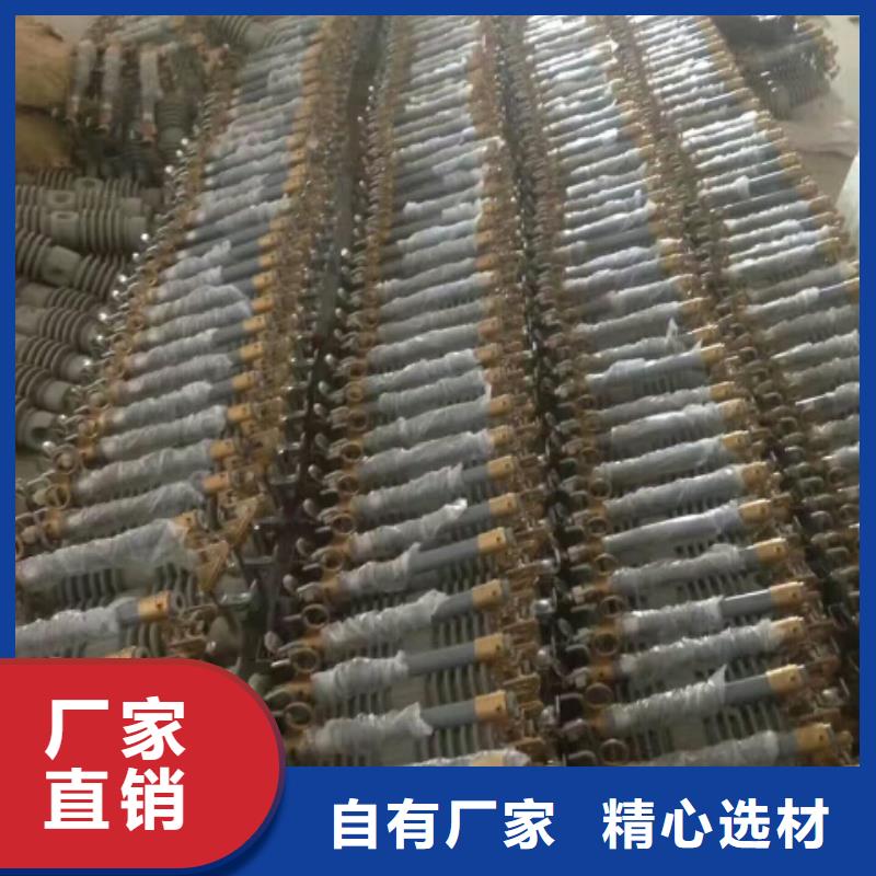 【跌落式熔断器】RW12-12/200A浙江羿振电气有限公司
