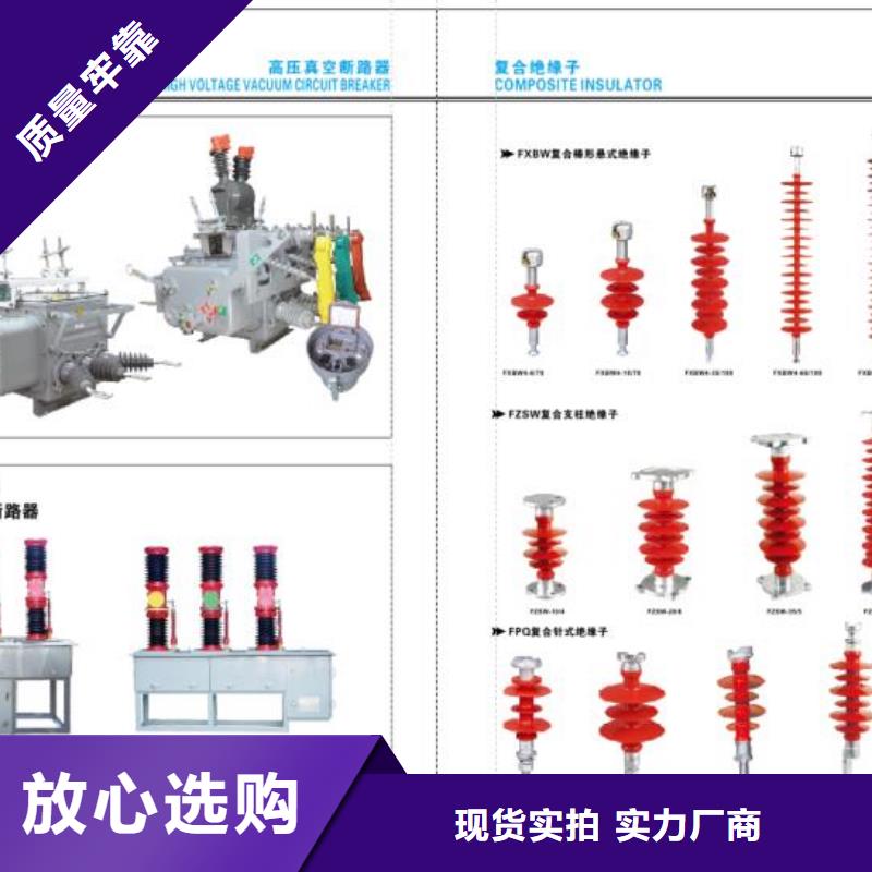 高压熔断器-HPRWG2-35KV/100A