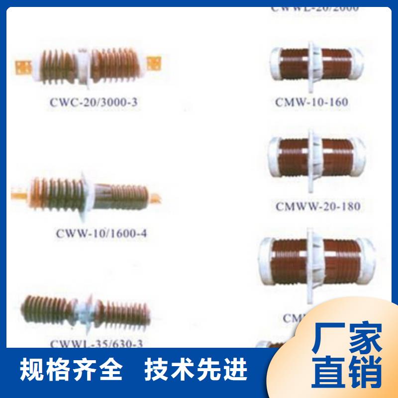 高压熔断器-HPRWG2-35KV/100A
