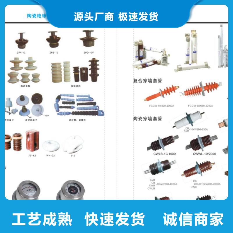 CWW-24KV/1600【上海羿振电力设备有限公司】