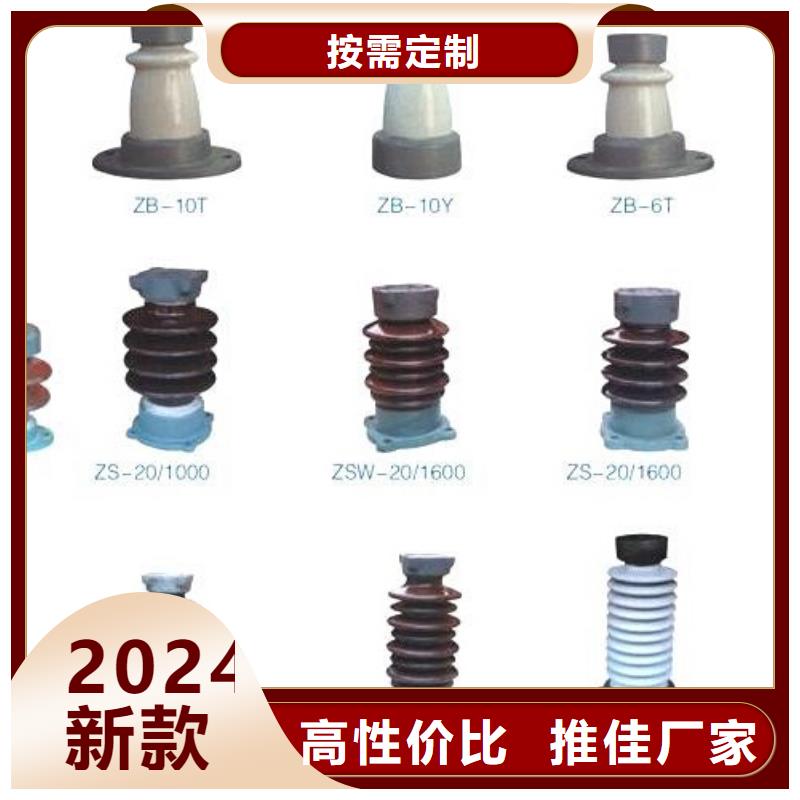 【羿振电气】FGNC20-240XD