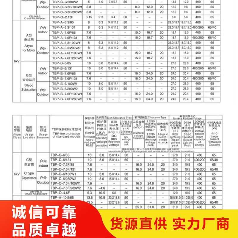 【组合式避雷器】TBP-B-10.5/131