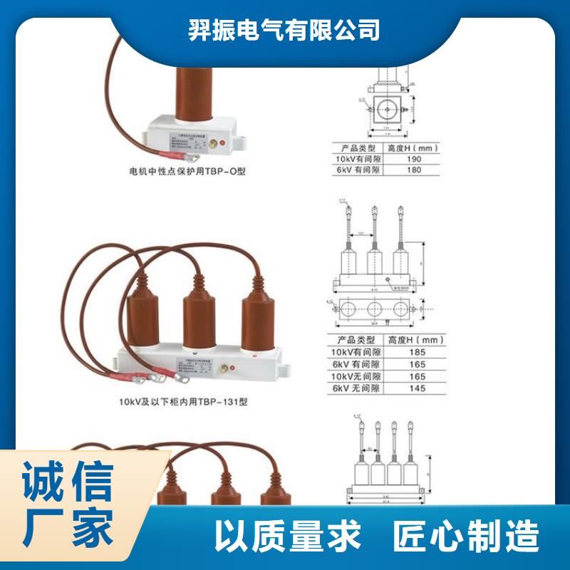 过电压保护器(组合式避雷器)BSTG-C-7.6/600