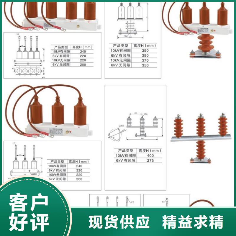 【组合式避雷器】TBP-B-42F/400W