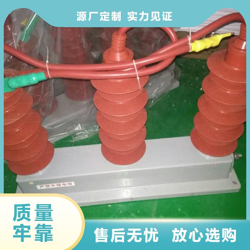 【组合式避雷器】TBP-B-42F/400W
