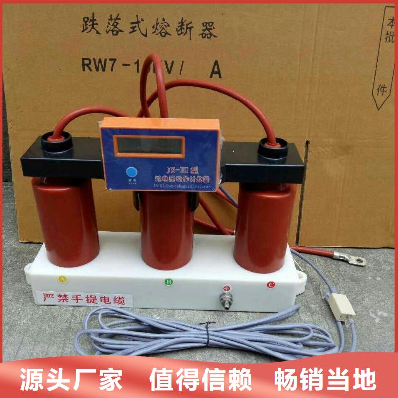 【组合式避雷器】TBP-B-42F/400W
