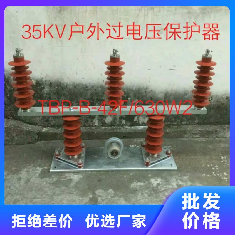 过电压保护器(组合式避雷器)BSTG-C-7.6/600