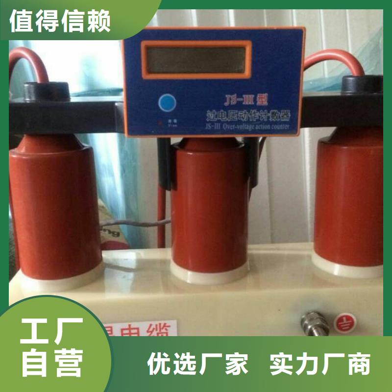 过电压保护器(组合式避雷器)BSTG-C-7.6/600