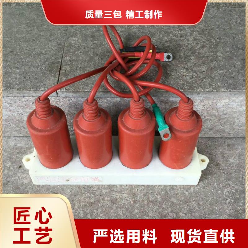 〖过电压保护器〗TBP-B-42/280厂家现货