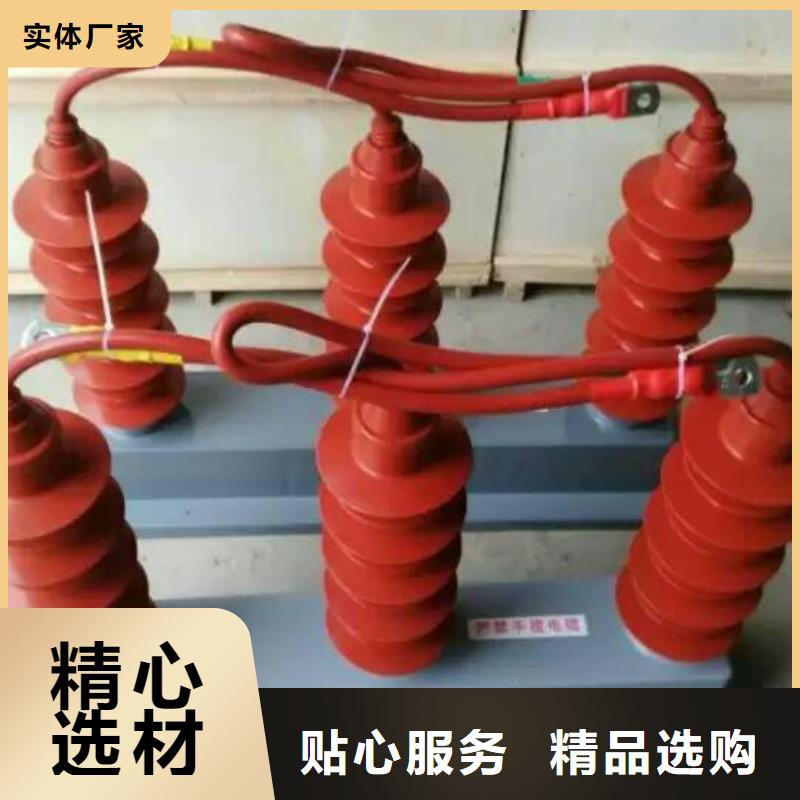 保护器(组合式避雷器)HTB-D-12.7KV/85-N