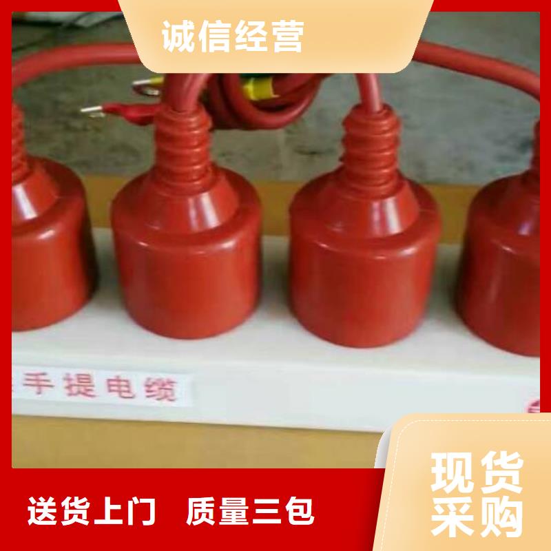 保护器(组合式避雷器)HTB-D-12.7KV/85-N