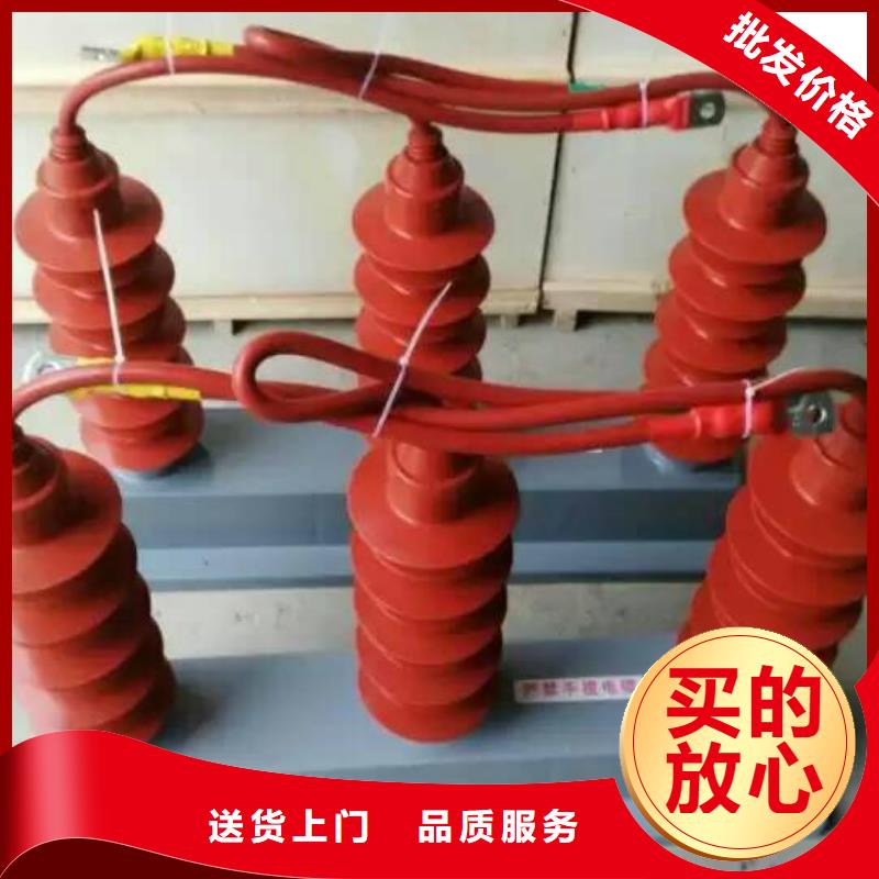 【组合式避雷器】TBP-B-42F/400W