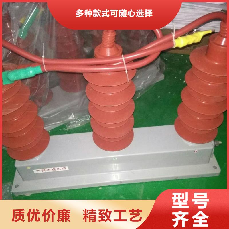 〖过电压保护器〗TBP-A-7.6/85-J型号齐全
