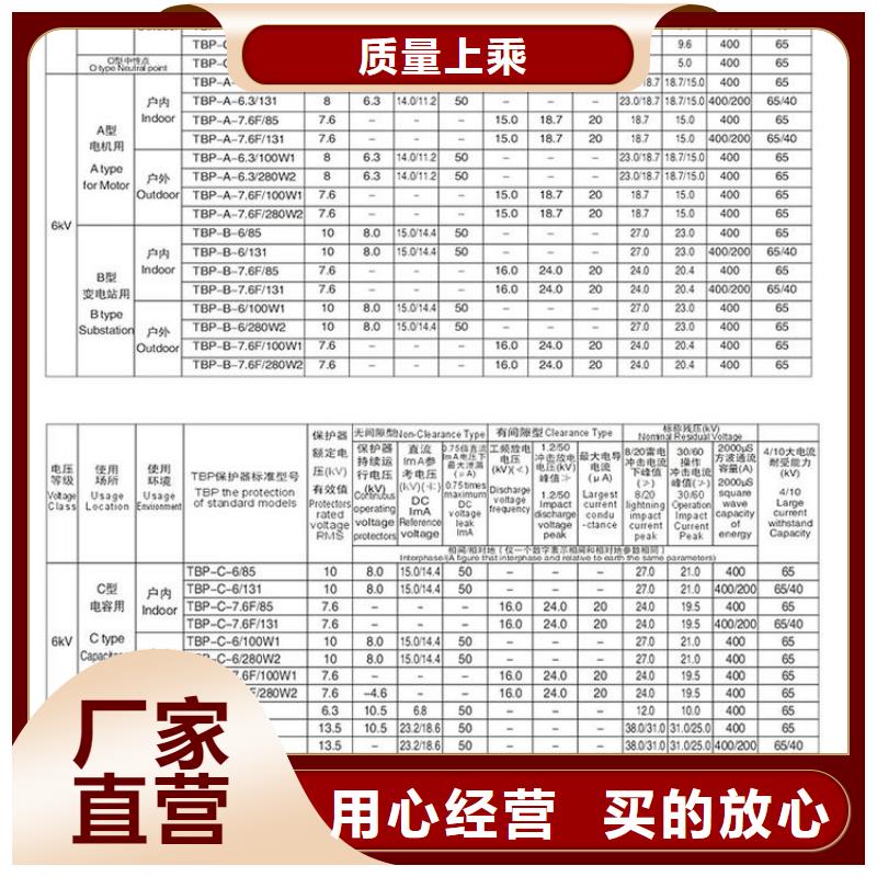 过电压保护器(组合式避雷器)BSTG-C-7.6/600