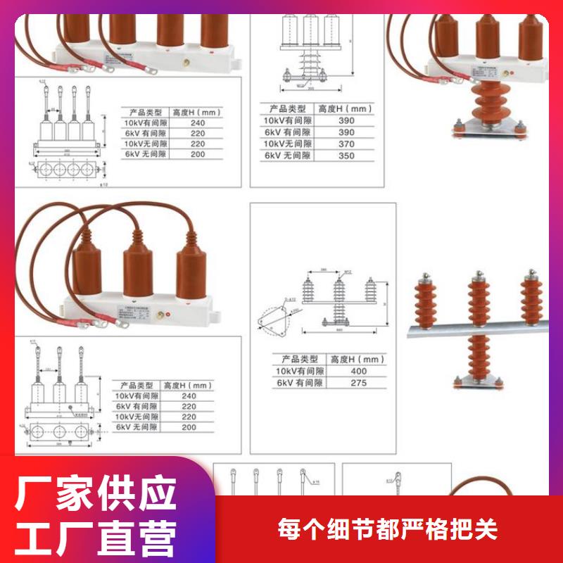 【组合式避雷器】TBP-B-42F/400W