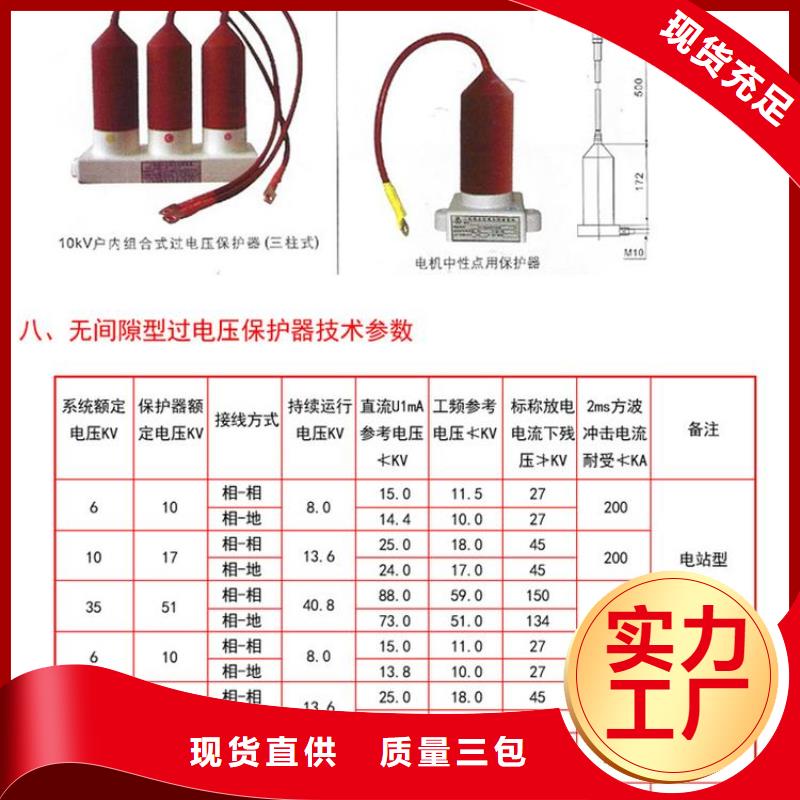 过电压保护器(组合式避雷器)BSTG-C-7.6/600