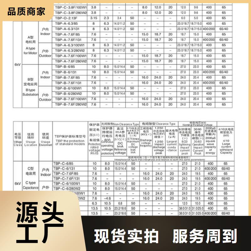 过电压保护器(组合式避雷器)BSTG-C-7.6/600