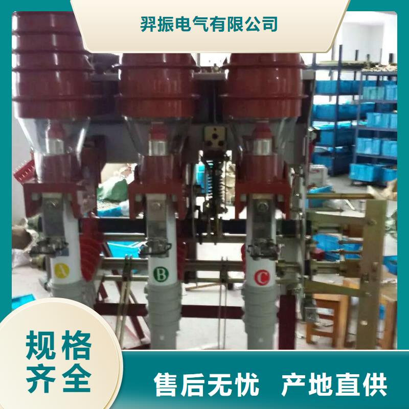 户内高压负荷开关FKN-12R/400