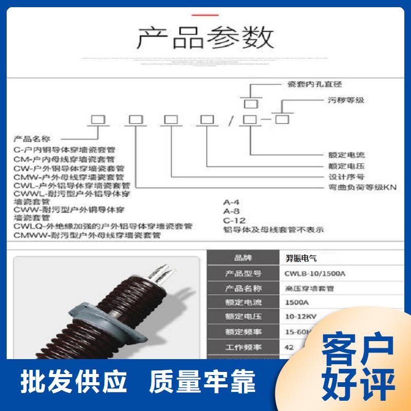 穿墙套管CWWL-35/3000-4