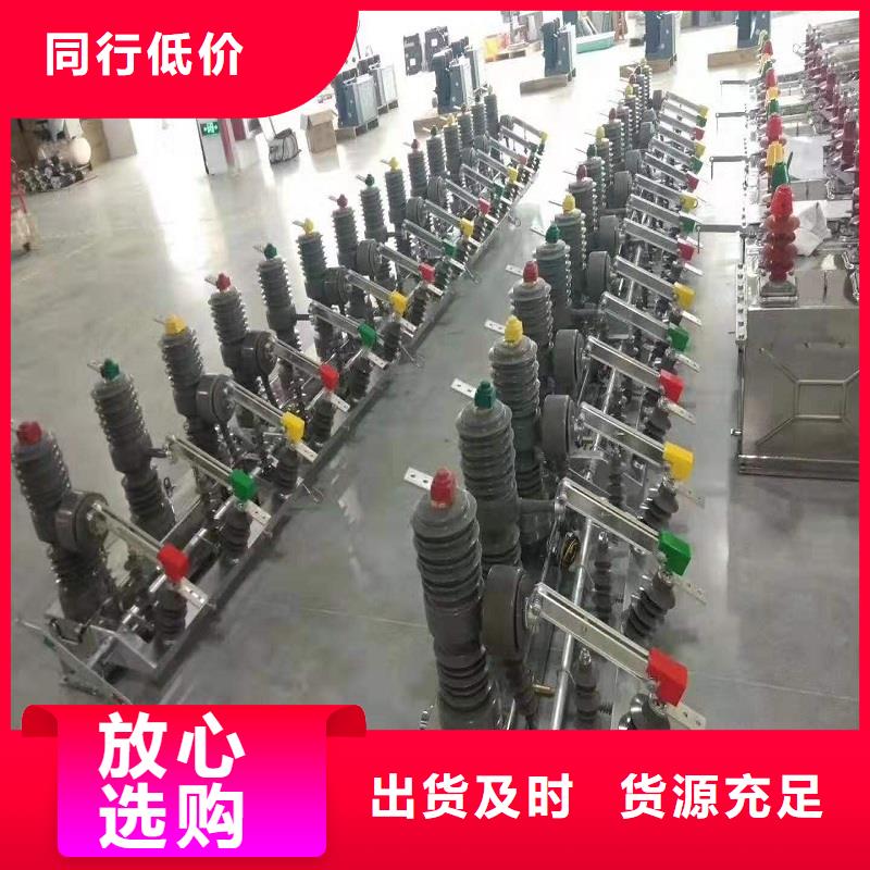 品牌【羿振电气】ZW32-12FG/630-25~ZW32-12FG/630-25