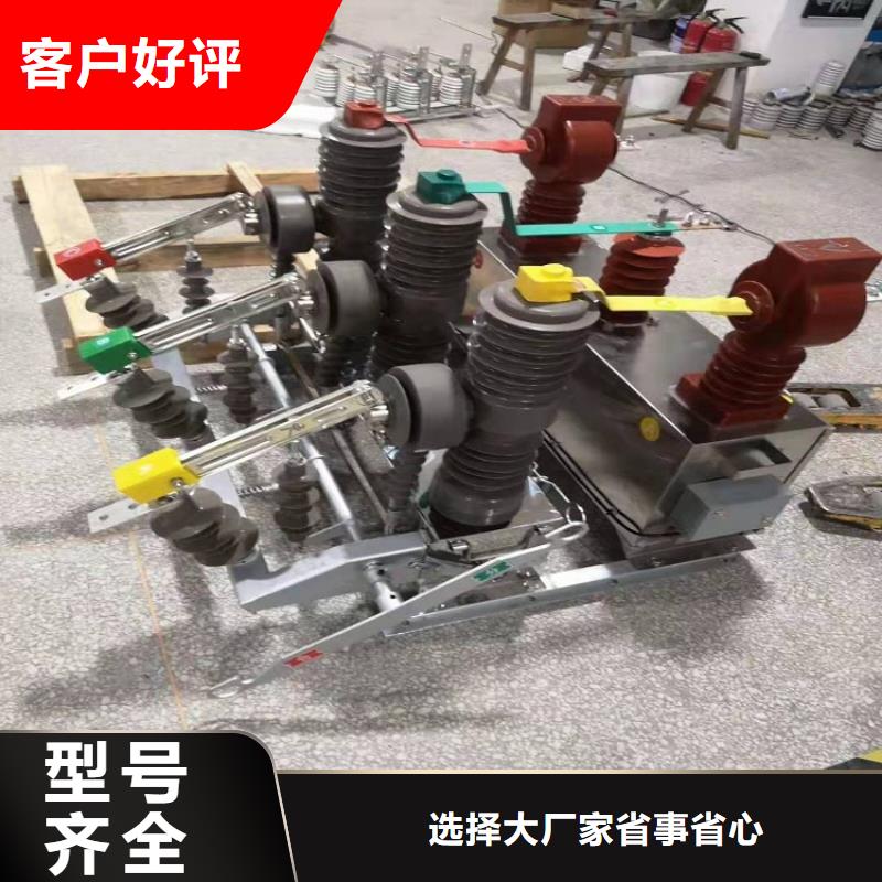 【断路器】ZW32F-12/630-25KA