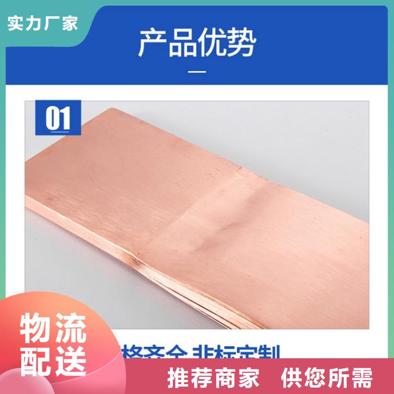 镀锡铜编织带软连接10*80