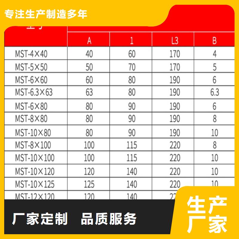 镀锡铜编织带软连接10*80