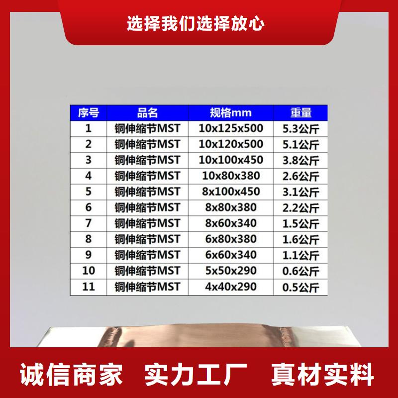 镀锡铜编织带软连接10*80