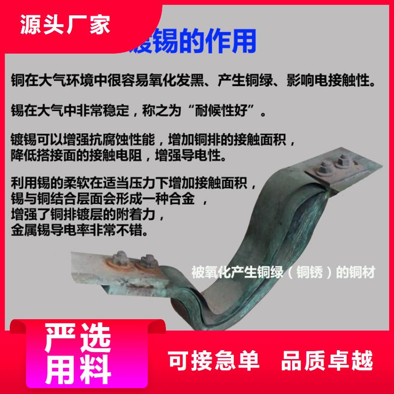 镀锡铜编织带软连接10*80