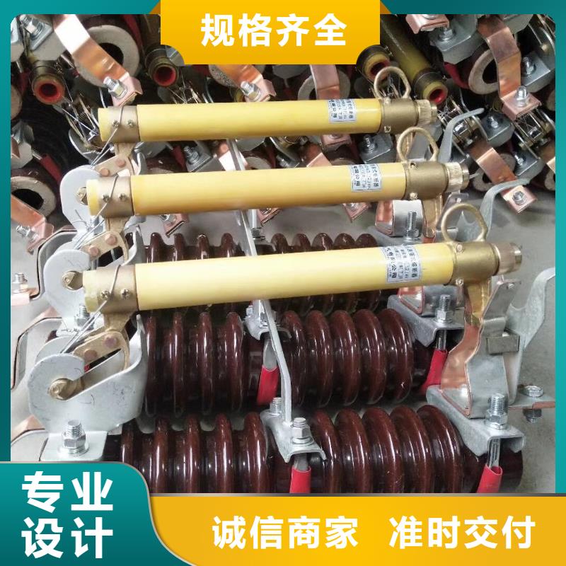 厂家：高压熔断器/HRW7-12/100A