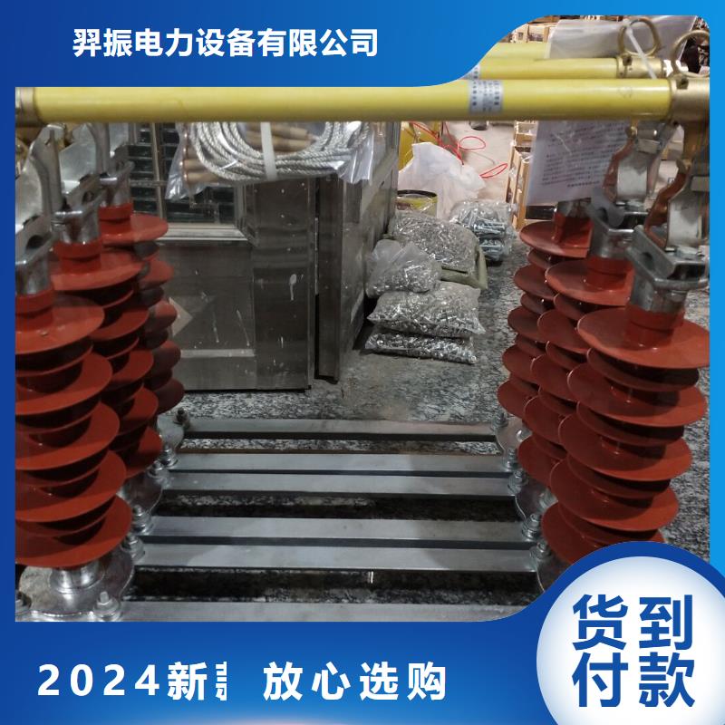 【羿振电力】跌落式熔断器RW12-12F/100A