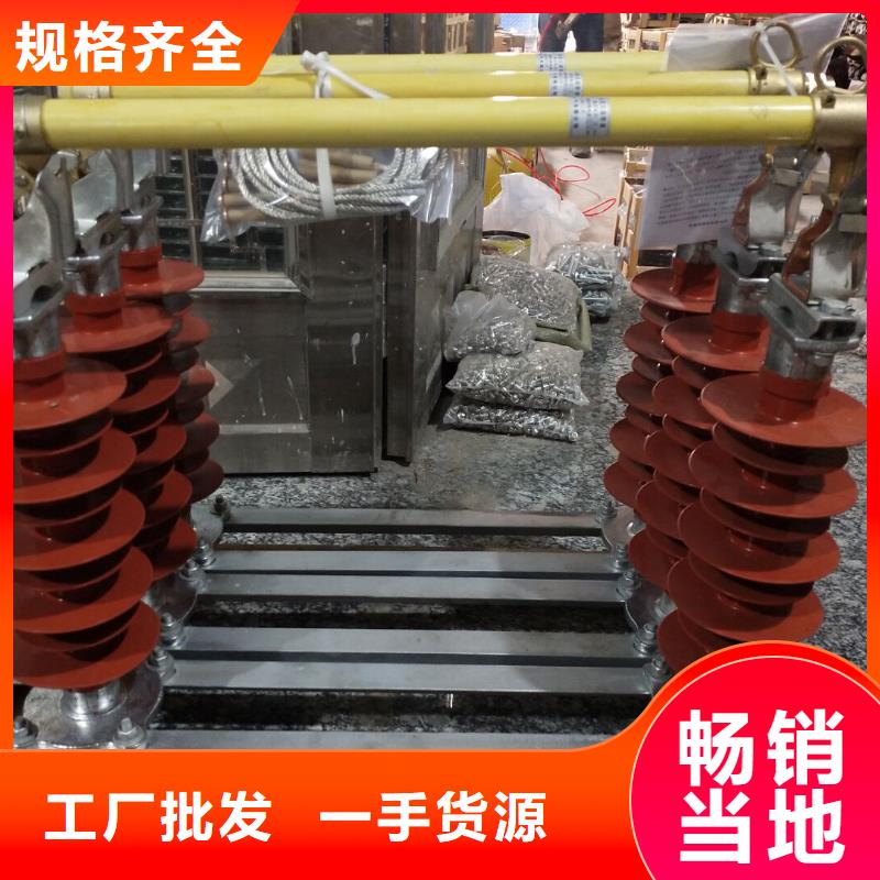 跌落式熔断器PRW-10F/100A