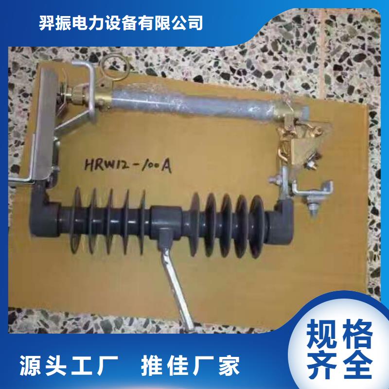 高压熔断器/RW10-10/100-12.5