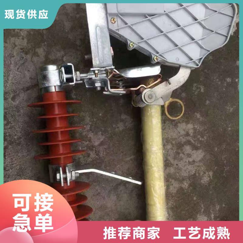 跌落式熔断器PRW-10F/100A