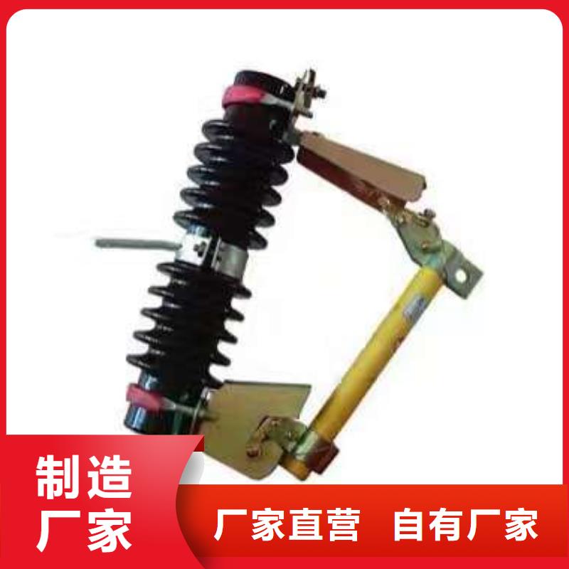 跌落式熔断器PRW-10F/100A