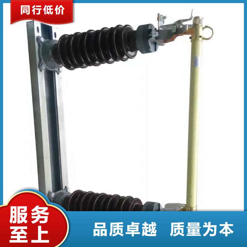 高压熔断器/RW10-10/100-12.5
