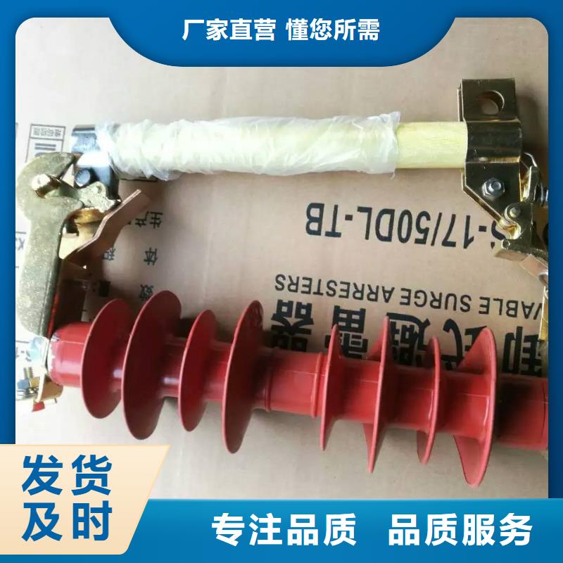 跌落式熔断器HRW11-10F-100A-上海羿振电力设备有限公司