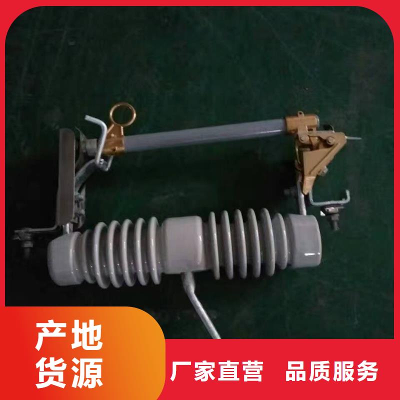 【高压熔断器】PRW12-15/100A