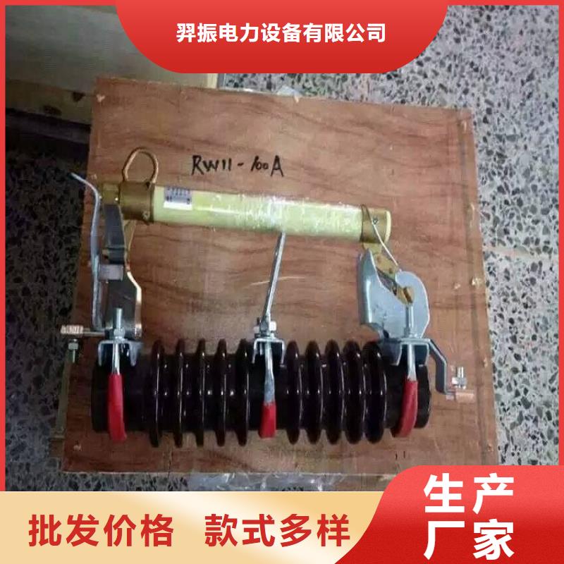 高压熔断器/RW10-10/100-12.5