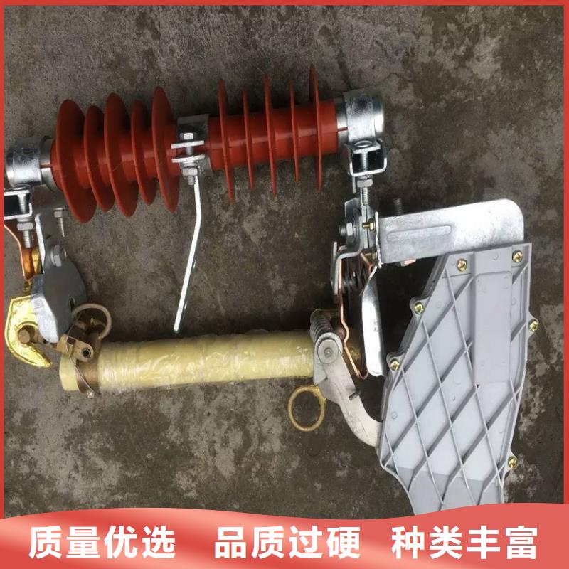 跌落式熔断器RW15-12/100
